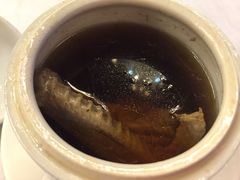 黑金刚炖唐排水鸭-朱仔记食府(江南大道店)