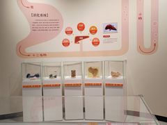 -陕西自然博物馆