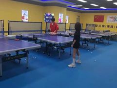-乐旋乒乓球(深圳南油店)
