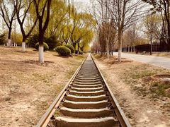 -永定河休闲森林公园