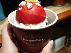 -哈根达斯(美罗城店)