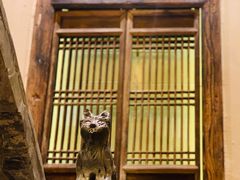 -叶叶菩提·晋福宫