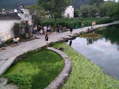 -黄山温泉国际旅游度假区