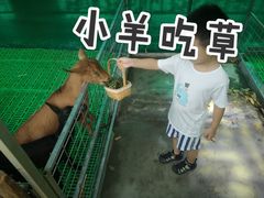 -史努比缤纷世界