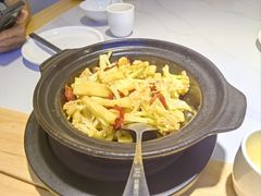 -鸽小宝(深圳首店)