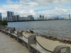 -深圳湾公园(南山区)