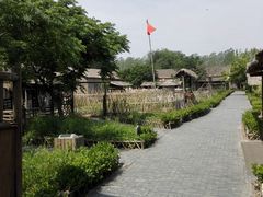 -大丰知青农场