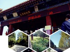 -太原动物园