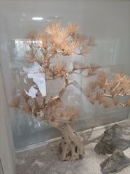 -麗宫轻医美·问题肌肤管理中心