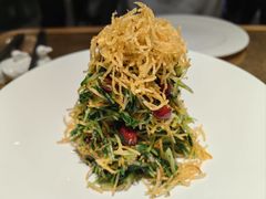 巧拌豆苗-四季民福烤鸭店(西单华威约饭街店)