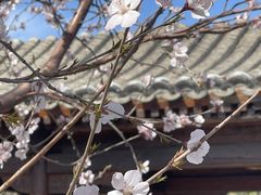 -三里河公园