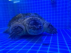-金彤川菜(西稍门店)