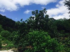 -北京山里寒舍度假酒店