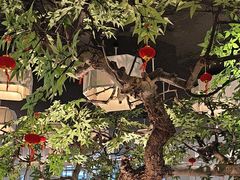 -绿茶餐厅(广州天河城店)