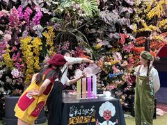 -正佳雨林生态植物园