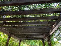 -白马涧龙池景区