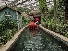 -南宫五洲植物乐园