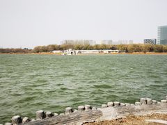 -大兴滨河森林公园