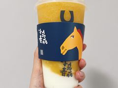 -春丽小马(济南恒隆广场店)