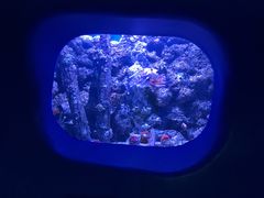 -欢乐海岸海洋奇梦馆