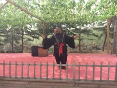 -太阳部落