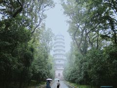 -灵谷景区