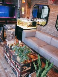 -青木造型HAIR·あおき髪を刈る潮人店