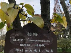 -金沙遗址博物馆