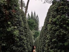 -烈士陵园(地铁站)
