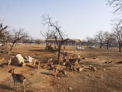 -西安秦岭野生动物园