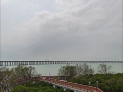 -宝安西湾红树林湿地公园