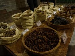 -陈李济中药博物馆