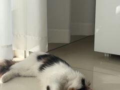 -美联众合24小时·皮肤科·外科·全科诊疗中心(华苑分院)