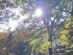 -井之头恩赐公园