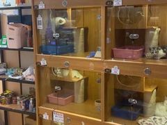 -Pets First伊珊娜洗护·精致美容·家庭式寄养(新会路店)