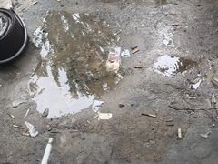 -邢氏老太太烤串(北兴街店)