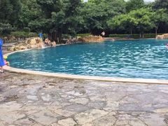 泳池-湖泉半山温泉