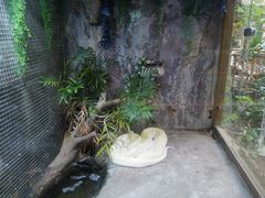 -上海大自然野生昆虫馆(东方明珠·爬宠昆虫探索中心)