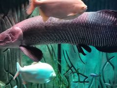 -亚特兰蒂斯水世界冒险乐园