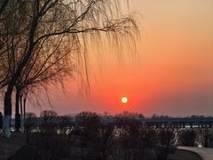 -丁香湖公园