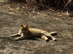 -野鸭湖国家湿地公园