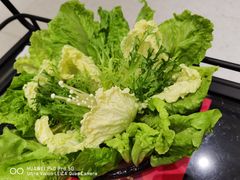 -红鼎豆捞·非遗鲍皇汤火锅(宝丰路店)