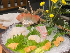 海胆刺身-初花·日本料理