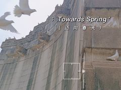 -音乐台