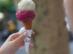 -Dip in Gelato(富民路店)
