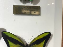 -上海昆虫博物馆