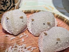 -点都德·毕德寮