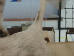 -小小班私人影院·猫咖(万达茂广场店)