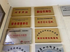 -谐和贝康宠物医院24小时·宠保定点(急重症转诊中心)