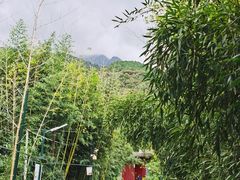 -红螺寺